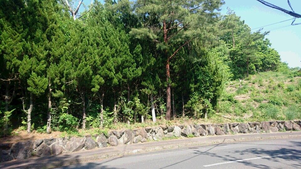 写真キャプチャ